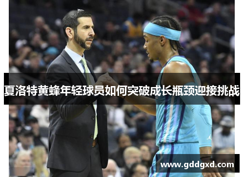 夏洛特黄蜂年轻球员如何突破成长瓶颈迎接挑战 夏洛特黄蜂年轻球员如何突破成长瓶颈迎接挑战