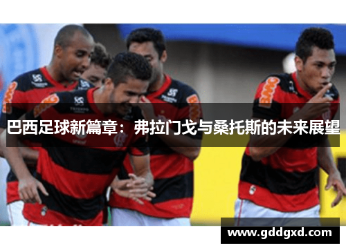 巴西足球新篇章：弗拉门戈与桑托斯的未来展望