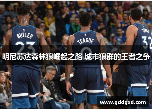 明尼苏达森林狼崛起之路 城市狼群的王者之争 明尼苏达森林狼崛起之路 城市狼群的王者之争