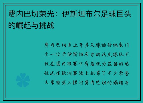 费内巴切荣光:伊斯坦布尔足球巨头的崛起与挑战 费内巴切荣光:伊斯坦布尔足球巨头的崛起与挑战